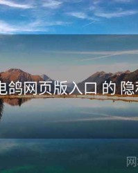 洞察 电鸽网页版入口 的 隐私设置