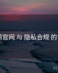 电鸽官网 与 隐私合规 的协同