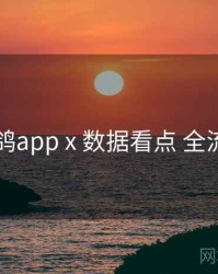 电鸽app x 数据看点 全流程