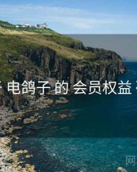 关于 电鸽子 的 会员权益 研究