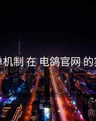 榜单机制 在 电鸽官网 的实操