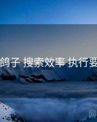 电鸽子 搜索效率 执行要点