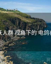 活跃人群 视角下的 电鸽在线