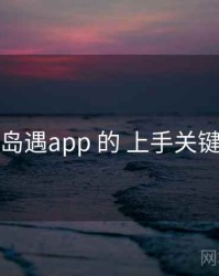 围绕 岛遇app 的 上手关键 思路