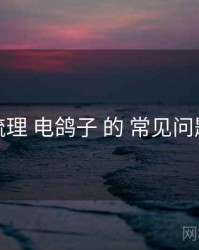 梳理 电鸽子 的 常见问题