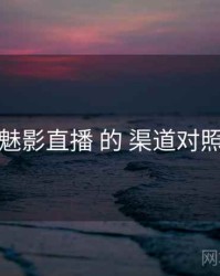 关于 魅影直播 的 渠道对照 研究