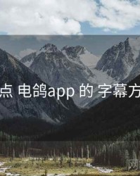 盘点 电鸽app 的 字幕方案