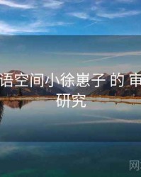 关于 秘语空间小徐崽子 的 审核要点 研究