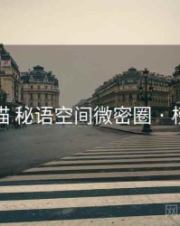 全景扫描 秘语空间微密圈 · 榜单机制