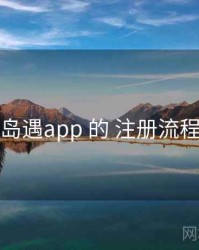 围绕 岛遇app 的 注册流程 思路