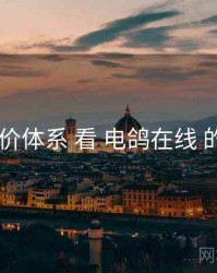 从 评价体系 看 电鸽在线 的优势