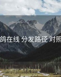 电鸽在线 分发路径 对照表