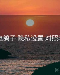 电鸽子 隐私设置 对照表