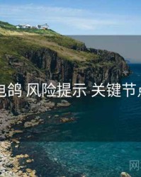 电鸽 风险提示 关键节点