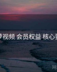 菠萝视频 会员权益 核心要点