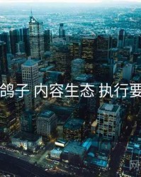 电鸽子 内容生态 执行要点