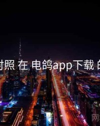 渠道对照 在 电鸽app下载 的实操