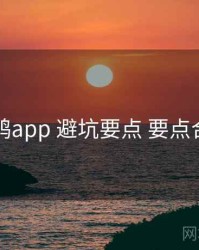 电鸽app 避坑要点 要点合辑