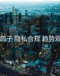 电鸽子 隐私合规 趋势观察