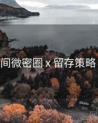 秘语空间微密圈 x 留存策略 全流程