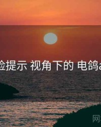 风险提示 视角下的 电鸽app