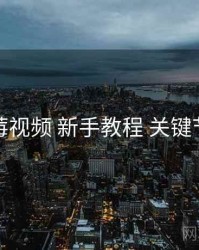 蓝莓视频 新手教程 关键节点