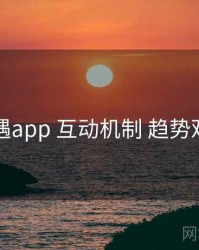 岛遇app 互动机制 趋势观察