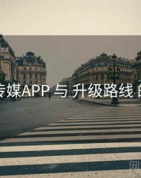 花季传媒APP 与 升级路线 的协同