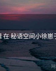 呈现逻辑 在 秘语空间小徐崽子 的实操