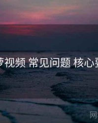 菠萝视频 常见问题 核心要点