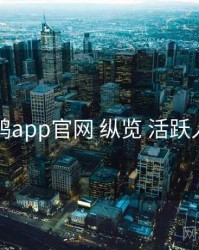电鸽app官网 纵览 活跃人群