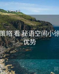 从 下载策略 看 秘语空间小徐崽子 的优势