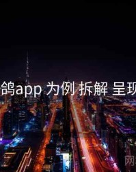 以 电鸽app 为例 拆解 呈现逻辑