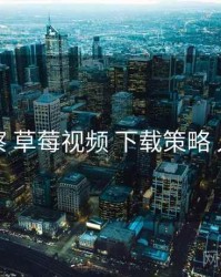 多维观察 草莓视频 下载策略 入门路径