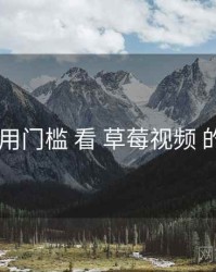 从 使用门槛 看 草莓视频 的优势