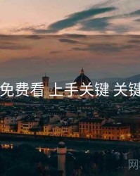 电鸽免费看 上手关键 关键节点