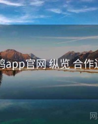 电鸽app官网 纵览 合作边界