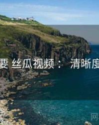 重点提要 丝瓜视频 ： 清晰度与缓存