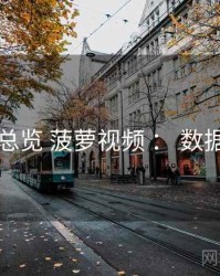 问题总览 菠萝视频 ： 数据看点