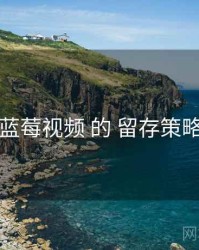 围绕 蓝莓视频 的 留存策略 思路