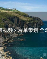 爱液视频 x 片单策划 全流程