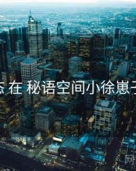 内容生态 在 秘语空间小徐崽子 的实操