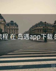 注册流程 在 岛遇app下载 的实操