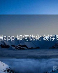 岛遇app 如何优化 缓存策略