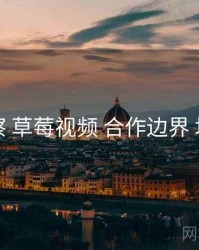 多维观察 草莓视频 合作边界 场景图谱