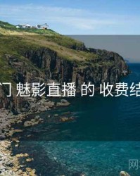 入门 魅影直播 的 收费结构