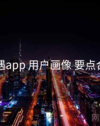 岛遇app 用户画像 要点合辑