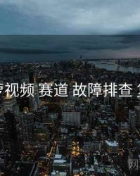 菠萝视频 赛道 故障排查 复盘