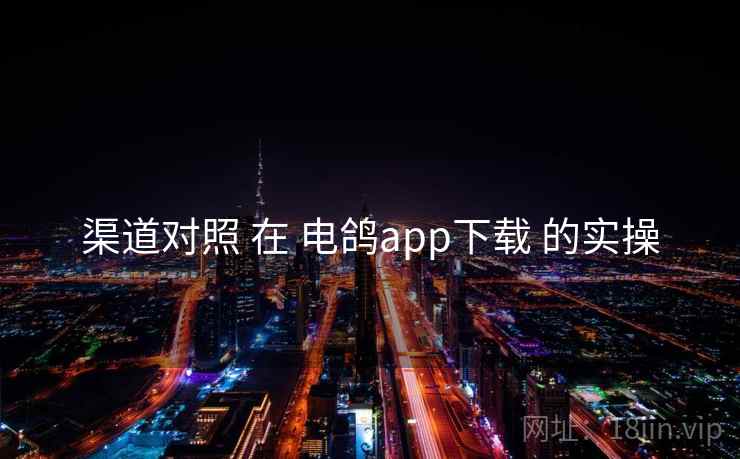 渠道对照 在 电鸽app下载 的实操