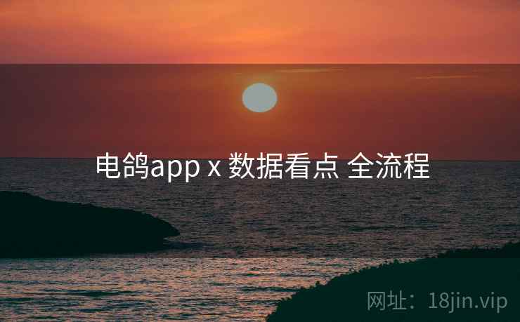 电鸽app x 数据看点 全流程